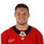 Dmitry Kulikov
