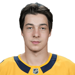 Aiden Fink
